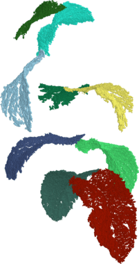 Leaves classification